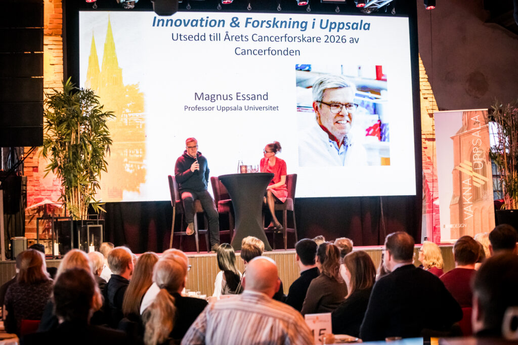 Foto: Angelica Klan
https://www.fotografangelicaklang.se/